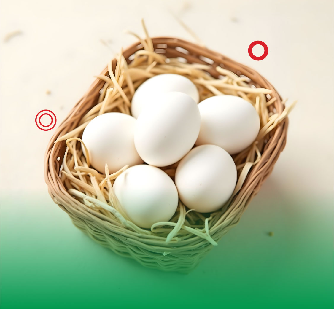 Eggs